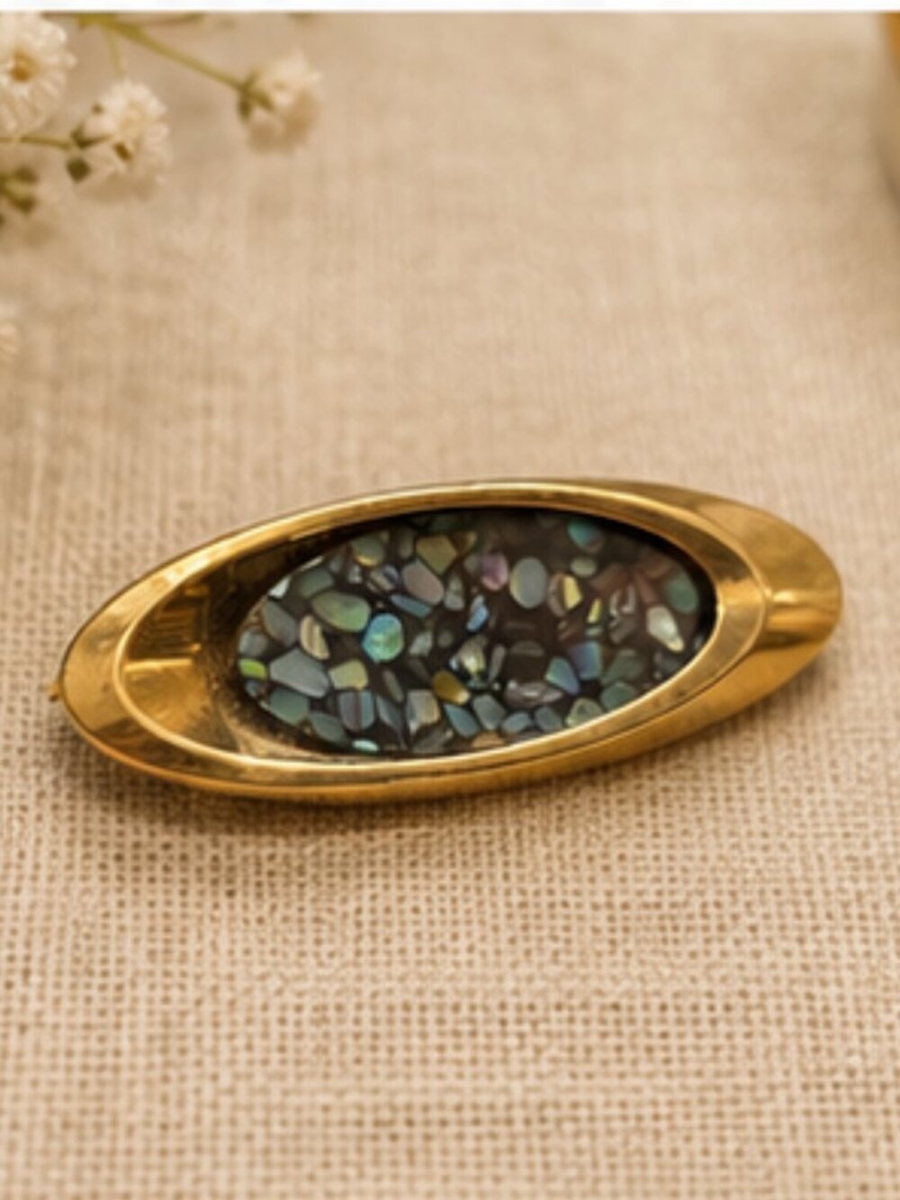 Vintage Gold Tone Abalone Shell Oval Brooch